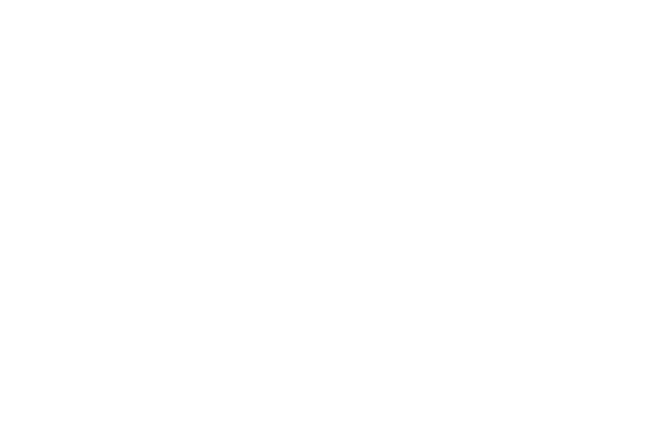 Legacy Sports Management