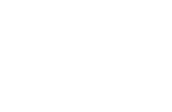 Vita Vate